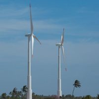 Brasileiros acreditam que economia verde trará novos empregos Imagem referente a Brasileiros acreditam que economia verde trará novos empregos