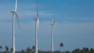 Brasileiros acreditam que economia verde trará novos empregos Brasileiros acreditam que economia verde trará novos empregos