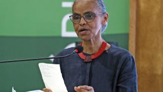 Plano brasileiro lançado na COP30 integra governança climática no país