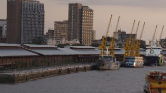 Delegado aponta risco no combate a crimes ambientais com PL Antifacção