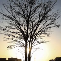 Imagem referente a Cientista alerta para risco de aquecimento global por longo tempo