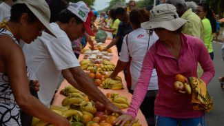 Ação da Cidadania lança Natal sem Fome 2025