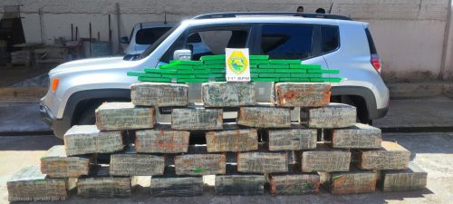 Fuga, perseguição e mais de 500 kg de maconha: suspeito é detido na PR 317 Fuga, perseguição e mais de 500 kg de maconha: suspeito é detido na PR 317