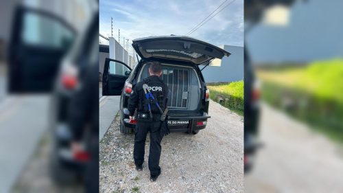 Roubo de carne de R$ 700 mil: Polícia caça chefes de quadrilha em megaoperação Roubo de carne de R$ 700 mil: Polícia caça chefes de quadrilha em megaoperação