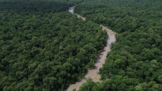 Áreas protegidas são quase metade da Amazônia Legal, mostra IBGE