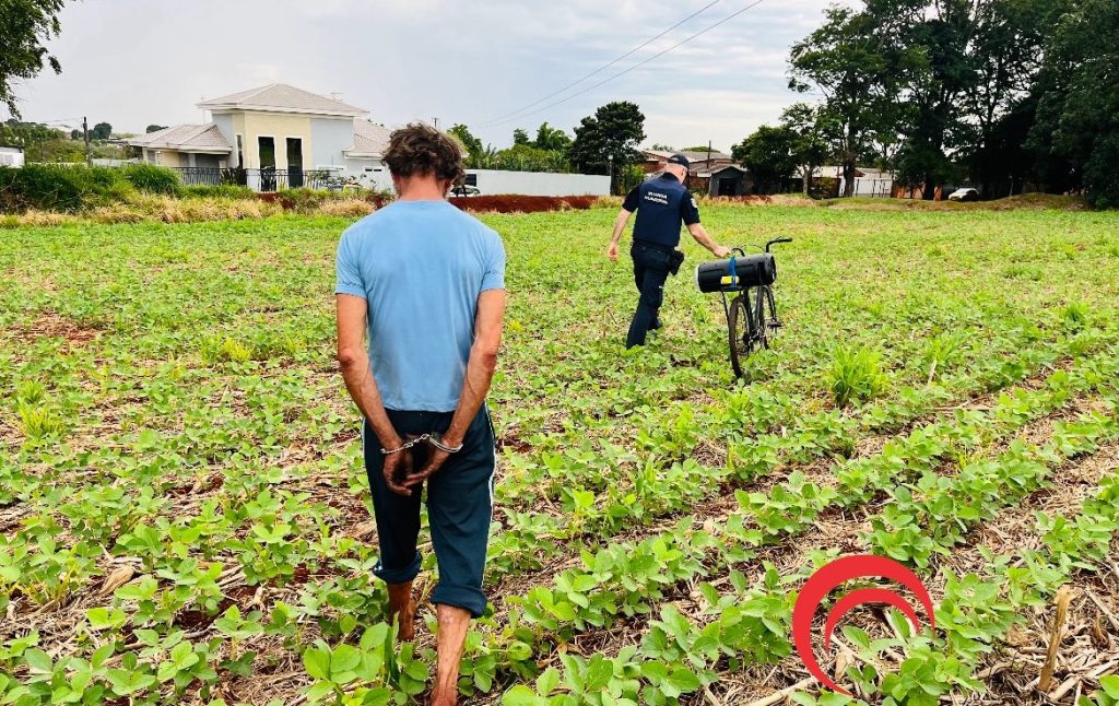 Procurado por homicídio é localizado em meio a plantação de soja e detido pela GM Procurado por homicídio é localizado em meio a plantação de soja e detido pela GM