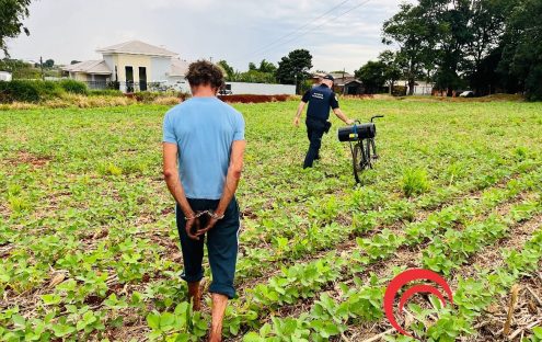 Procurado por homicídio é localizado em meio a plantação de soja e detido pela GM Procurado por homicídio é localizado em meio a plantação de soja e detido pela GM