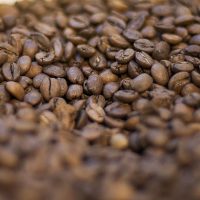 Imagem referente a Trump diz que reduzirá tarifas para importação de café