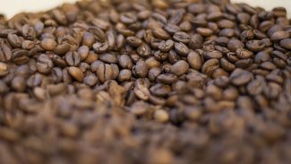 Trump diz que reduzirá tarifas para importação de café