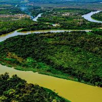 Imagem referente a Relatório do MapBiomas revela Pantanal reconfigurado em 40 anos