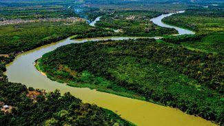 Relatório do MapBiomas revela Pantanal reconfigurado em 40 anos Relatório do MapBiomas revela Pantanal reconfigurado em 40 anos