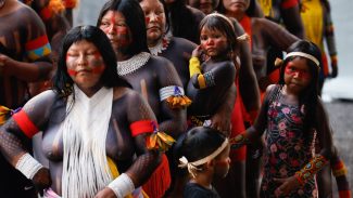 COP: proteção ambiental e luta indígena são indissociáveis, diz Fachin COP: proteção ambiental e luta indígena são indissociáveis, diz Fachin