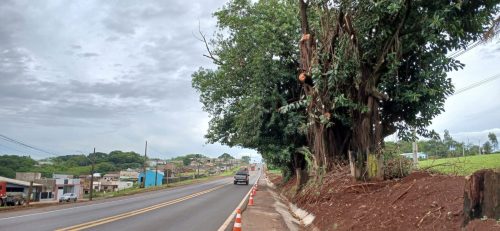 BR-163 em Lindoeste terá operação Pare e Siga no domingo (16) para poda de árvore na faixa de domínio BR-163 em Lindoeste terá operação Pare e Siga no domingo (16) para poda de árvore na faixa de domínio