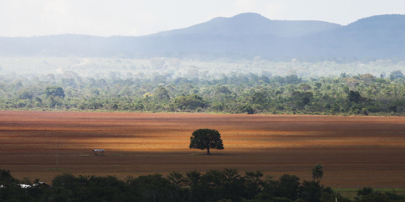 COP30: governo cobra R$ 476 milhões de infratores ambientais COP30: governo cobra R$ 476 milhões de infratores ambientais
