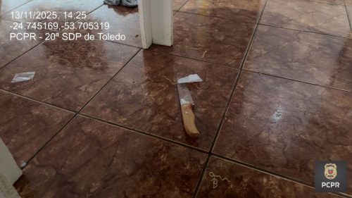 Faca de cozinha: Polícia divulga arma usada no homicídio de mulher em frente à filha de 2 anos