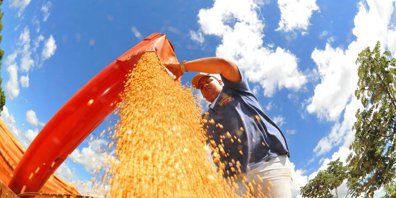 Agropecuária ajudou oito estados a crescerem mais que o Brasil em 2023 Agropecuária ajudou oito estados a crescerem mais que o Brasil em 2023