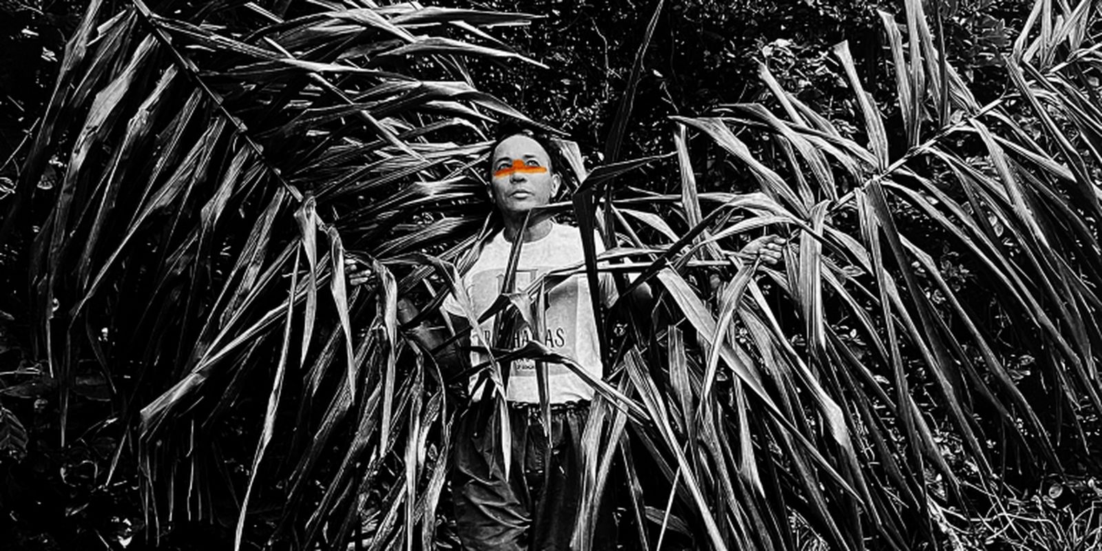 Exposição em SP propõe diálogos sobre gênero, sexualidade e natureza Exposição em SP propõe diálogos sobre gênero, sexualidade e natureza