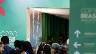 FUP pede participação dos trabalhadores em transição energética FUP pede participação dos trabalhadores em transição energética