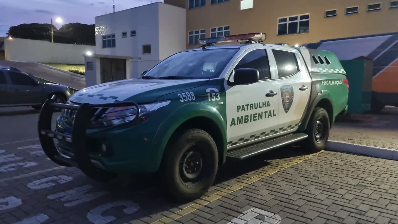 Briga de família: sobrinha agride tia no Bairro Aclimação Briga de família: sobrinha agride tia no Bairro Aclimação