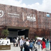 Tribunal dos Povos condena Estados e empresas por ecogenocídio Imagem referente a Tribunal dos Povos condena Estados e empresas por ecogenocídio