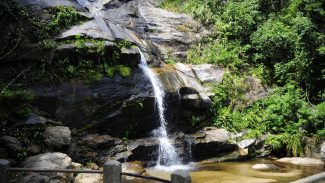 Parque Nacional da Tijuca promove feira de ciências com foco em peixes Parque Nacional da Tijuca promove feira de ciências com foco em peixes
