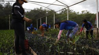 Governo fecha parceria para expandir energia renovável na Amazônia Governo fecha parceria para expandir energia renovável na Amazônia