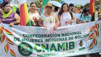 Indígenas sul-americanos se unem em Belém por territórios e direitos