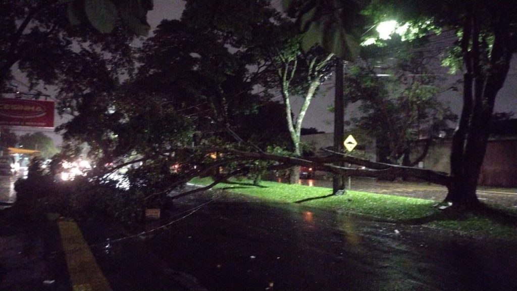 Vendaval arranca telhados e derruba árvores: Foz do Iguaçu em alerta! Vendaval arranca telhados e derruba árvores: Foz do Iguaçu em alerta!