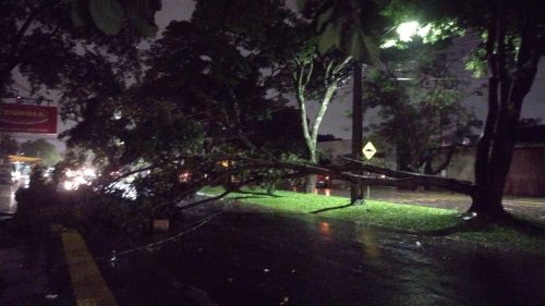 Vendaval arranca telhados e derruba árvores: Foz do Iguaçu em alerta!