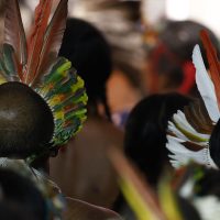 Demarcar terras dá segurança a quem protege o meio ambiente, diz MJ Imagem referente a Demarcar terras dá segurança a quem protege o meio ambiente, diz MJ