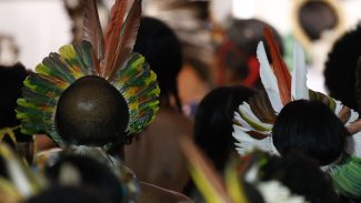 Demarcar terras dá segurança a quem protege o meio ambiente, diz MJ