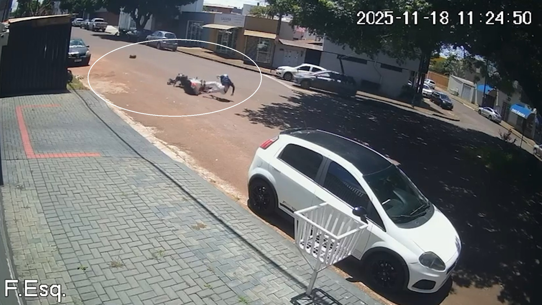Câmera registra acidente após motociclista atropelar gato que cruzou repentinamente a rua em Cascavel