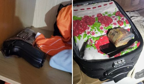 Cães farejadores ajudam polícia a caçar traficantes em sete cidades do Paraná