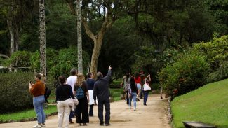 Dia da Consciência Negra: Jardim Botânico do Rio tem programa especial Dia da Consciência Negra: Jardim Botânico do Rio tem programa especial