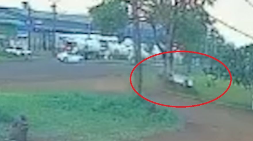 Câmera flagra momento em que motorista sai da pista e bate em árvore na BR-369