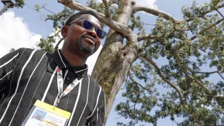 Nigeriano critica soluções ilusórias para África na agenda climática