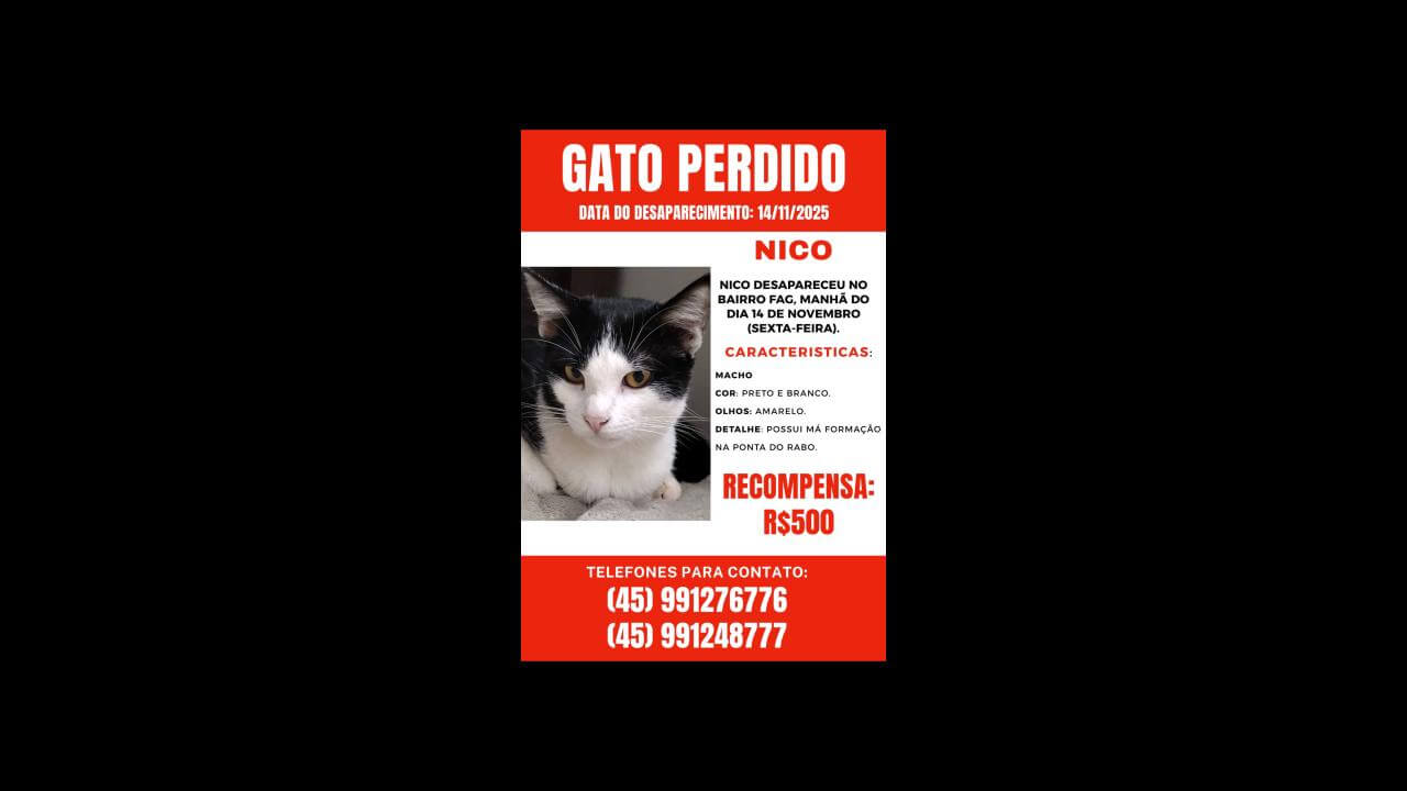 Gato Nico desapareceu no bairro Fag Gato Nico desapareceu no bairro Fag