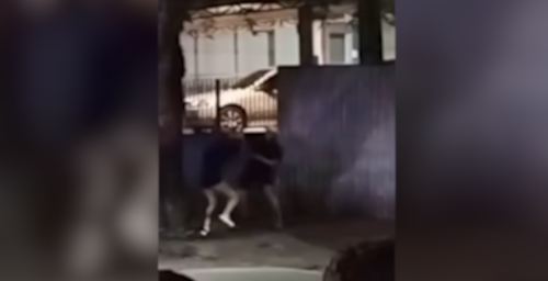 Briga com pau e socos é registrada durante a madrugada no Centro de Cascavel; Veja o vídeo