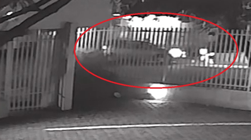 Vídeo mostra acidente que deixou motociclista ferido no Centro
