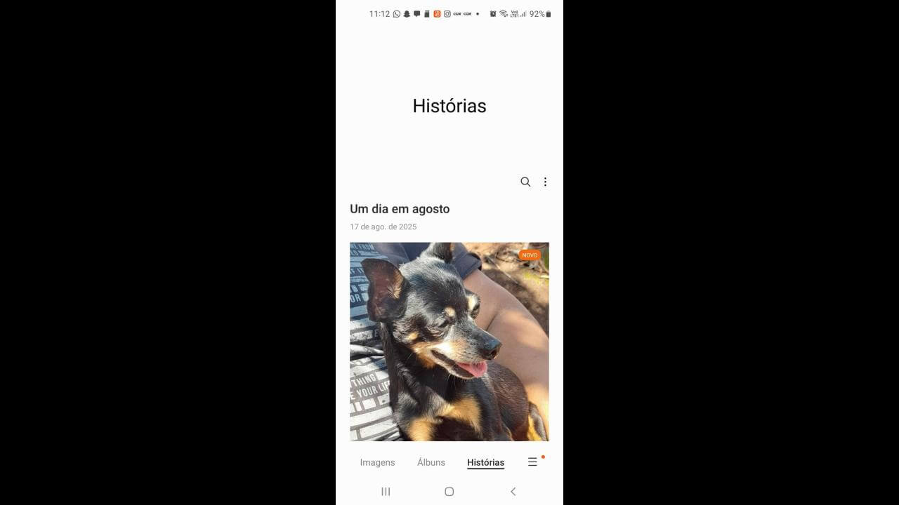 Cachorra Mel desapareceu no bairro Floresta