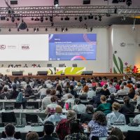 Documentos finais da COP30 fazem menção inédita a afrodescendentes Imagem referente a Documentos finais da COP30 fazem menção inédita a afrodescendentes