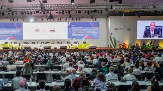 Documentos finais da COP30 fazem menção inédita a afrodescendentes Documentos finais da COP30 fazem menção inédita a afrodescendentes
