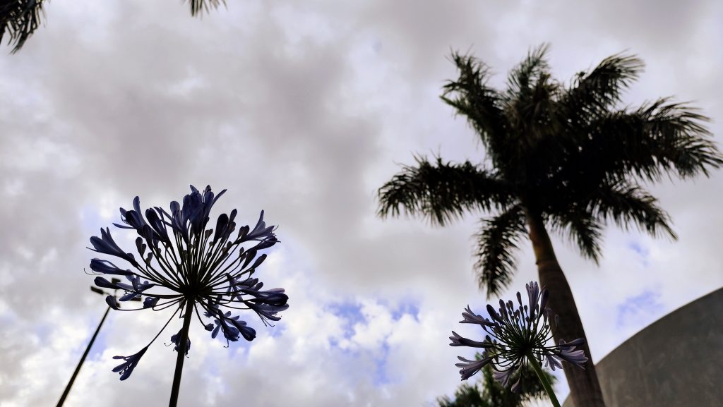 Chuva com “quase garantia”: segunda-feira deve ser de céu fechado e ventos fortes Chuva com “quase garantia”: segunda-feira deve ser de céu fechado e ventos fortes