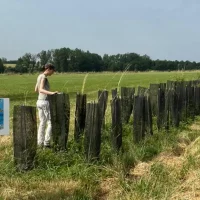 Floresta em pé: lavoura e árvores reduzem impacto de mudança climática Imagem referente a Floresta em pé: lavoura e árvores reduzem impacto de mudança climática