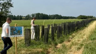 Floresta em pé: lavoura e árvores reduzem impacto de mudança climática Floresta em pé: lavoura e árvores reduzem impacto de mudança climática