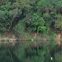 Imagem referente a Prefeitura de São Caetano do Sul anuncia racionamento de água noturno