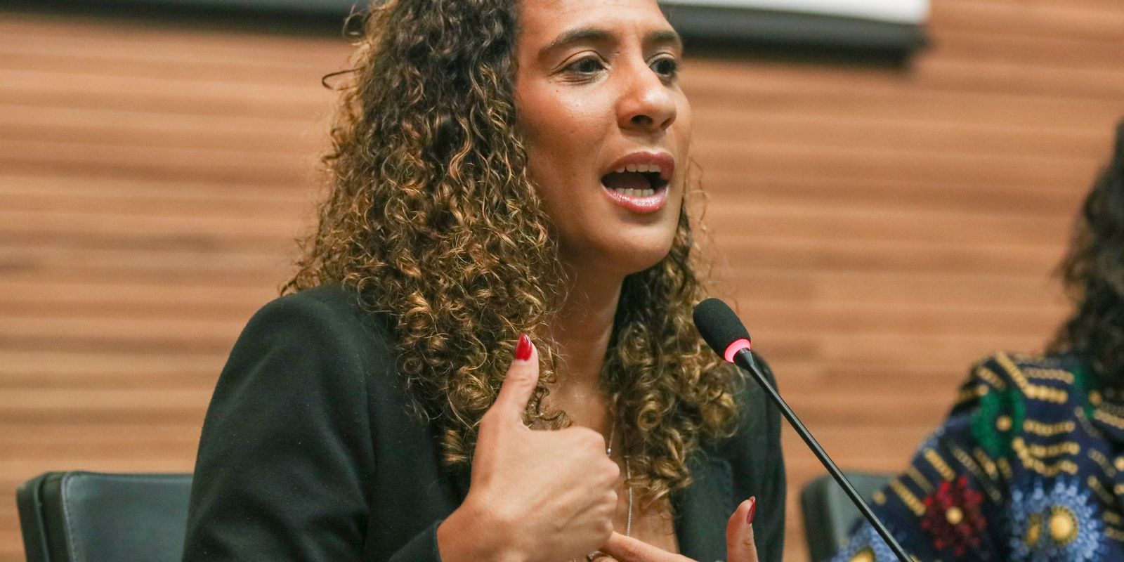 Expectativa é que mulheres sejam ouvidas, diz Anielle sobre marcha Expectativa é que mulheres sejam ouvidas, diz Anielle sobre marcha