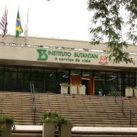 MS aprova parcerias para produção de medicamentos destinados ao SUS Imagem referente a MS aprova parcerias para produção de medicamentos destinados ao SUS