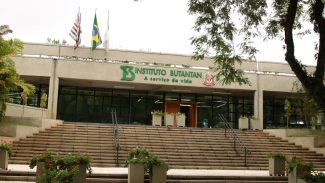 MS aprova parcerias para produção de medicamentos destinados ao SUS MS aprova parcerias para produção de medicamentos destinados ao SUS