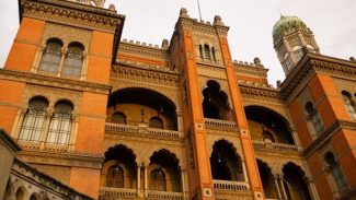 Fiocruz inicia testes para tratamento da Atrofia Muscular Espinhal